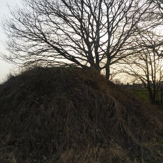 Stefankowice-Kolonia