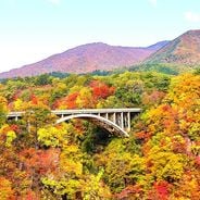 도호쿠에서 볼 것: 일본 북부의 자연 및 역사적 보물