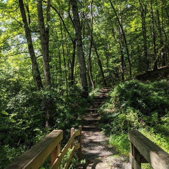 University of Tennessee Arboretum