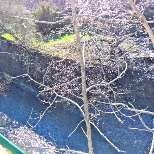 Retaining Wall Along North And West Sides Of St Peters Churchyard