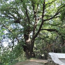 Marina (protected locality)