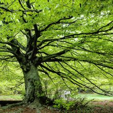 Monte San Vicino e Monte Canfaito