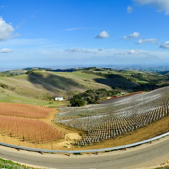 DAOU Vineyards & Winery