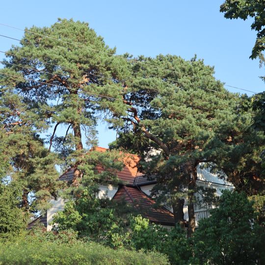 Ogród willi przy ulicy Laurowej 27