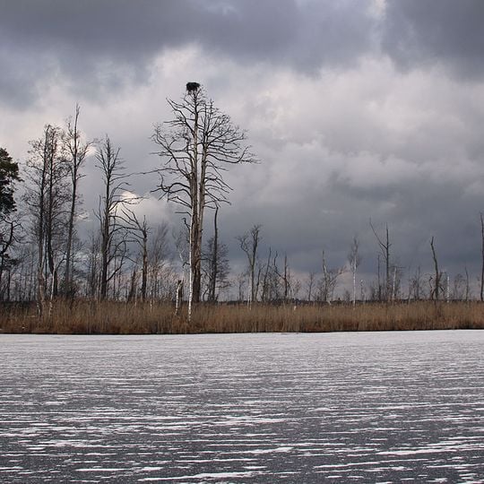 Rezerwat przyrody Czeremski