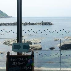 Kamo Aquarium