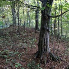 Römische Siedlung und Hügelgräber am Katzelbach
