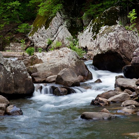 Richland Creek Wilderness