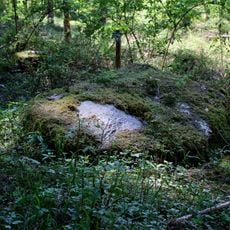 Findling 1 im Pürschwald beim Antoni NE von Finsterau