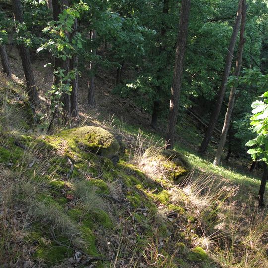 Bílá skála u Jamolic