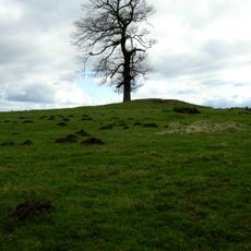 Round barrow 340m east of Cliffe Hall known as Betty Watson's Hill