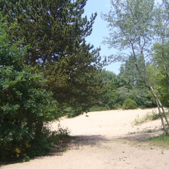 Sint-Hubertuspark, The Hague