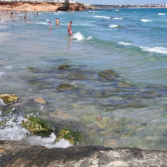 Playa Flamenca Beach