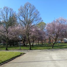 Quevedo Park