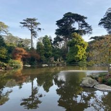 San Francisco Botanical Garden