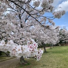 西部公園