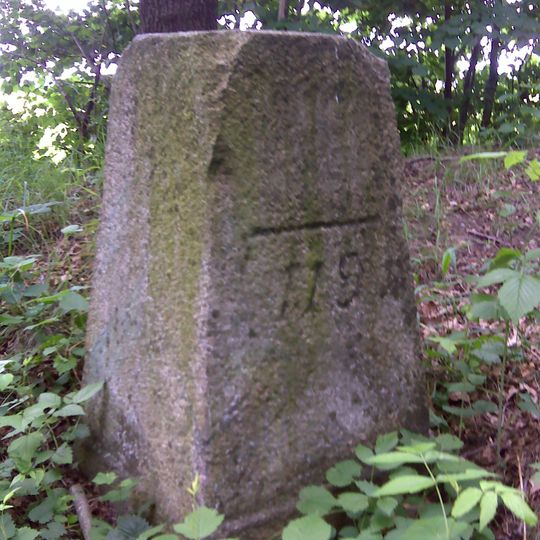 Sächsisch-Preußischer Grenzstein: Pilar Nr. 119