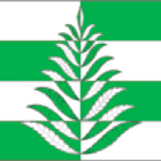 Сельское поселение Белавинское