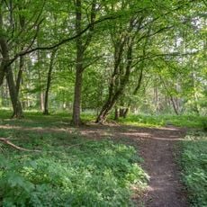 Krumme Grund - Pamelsche Grund