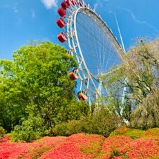 Everland