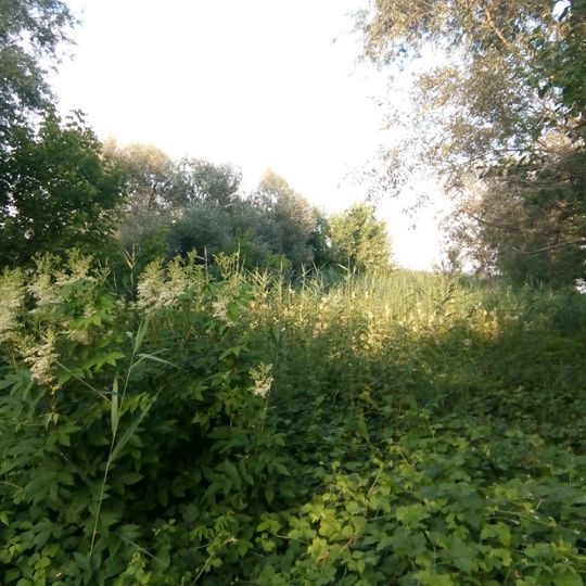 Riserva naturale speciale dei Canneti di Dormelletto