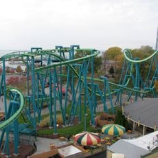Raptor