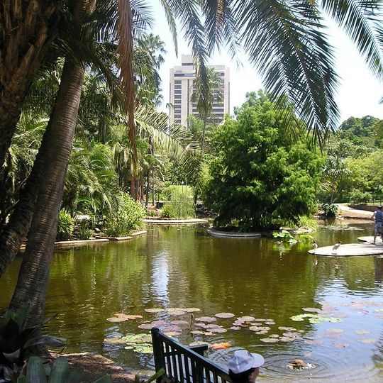 Jardín Botánico de la Ciudad de Brisbane