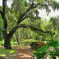 Washington Oaks State Gardens