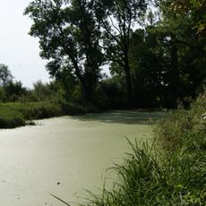 Park, poł. XIX, pocz