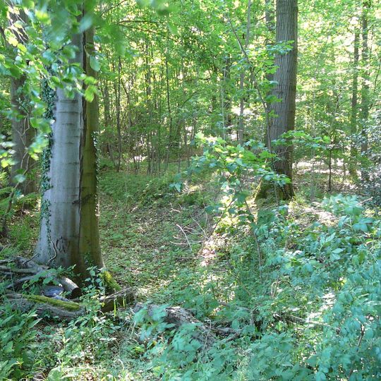 Motte Schwanenmühle