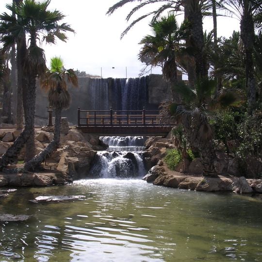 El palmeral