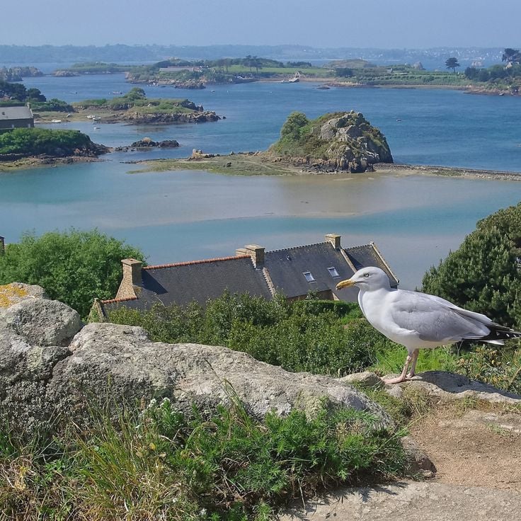 Île de Bréhat