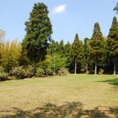 Mariyatsu Castle