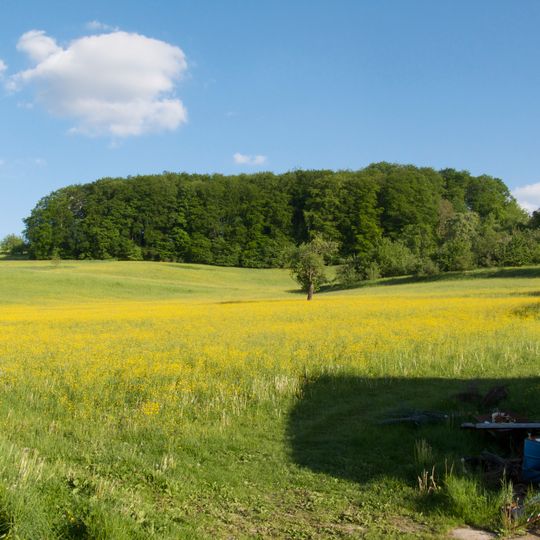 Schmidbachtal - Oberes Bottwartal mit Seitentälern und umgebenden Gebietsteilen