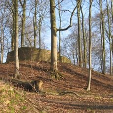 Burgruine Rodenberg