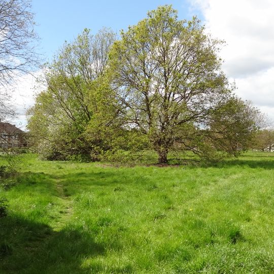 Pevensey Road Nature Reserve