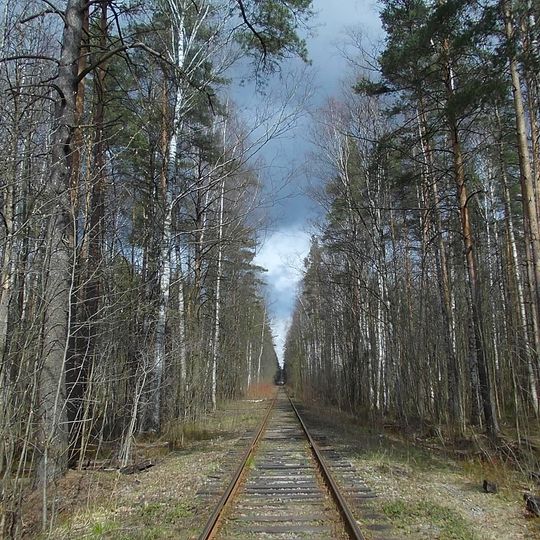 Novo-Orlovsky Lesopark