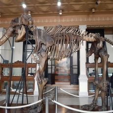 Museo del Instituto de Geología de la UNAM