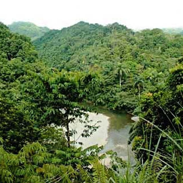 Parco Nazionale Alejandro de Humboldt