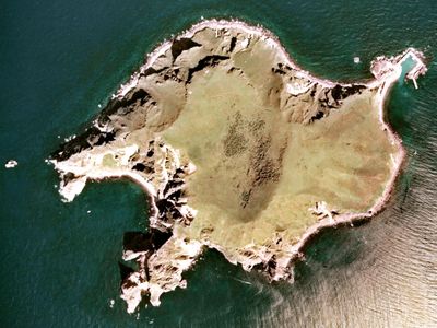 Aerial View 1