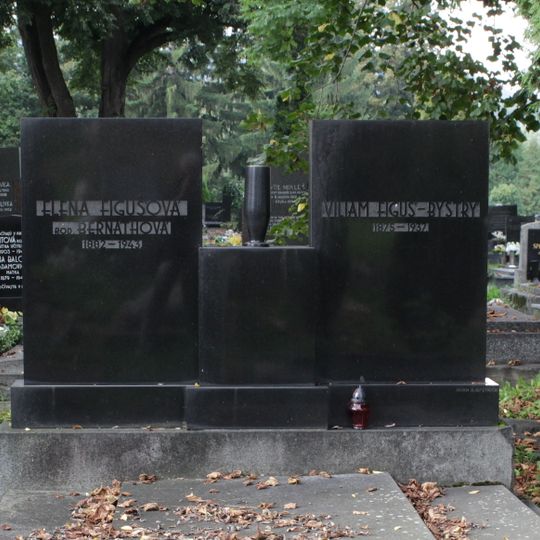 Cintorín ev. a. v. , hrob s náhrobníkom