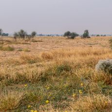Parco nazionale del Deserto