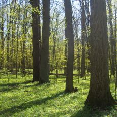 Belogorye Nature Reserve
