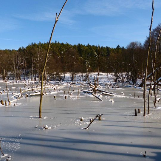 Naturschutzgebiet 'Grubenfelder Leonie'