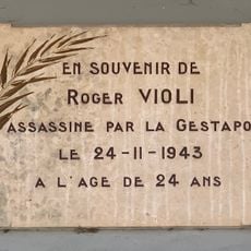 Roger Violi