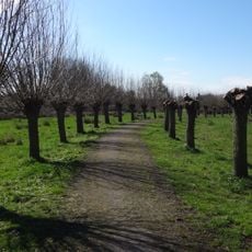 Otterdijk