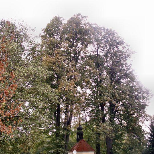 Bedřichovské lípy