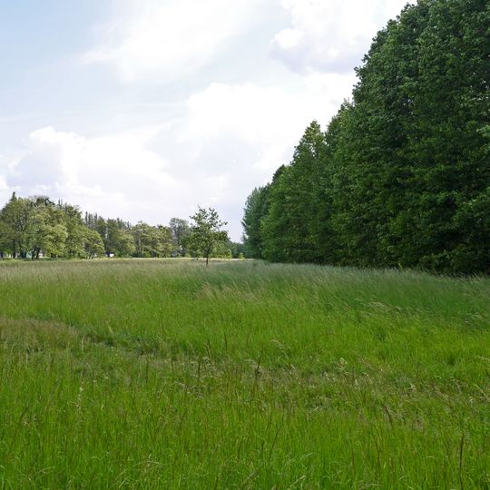 Orchids of Stryzhavka