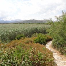 S'Albufera de Mallorca Natural Park