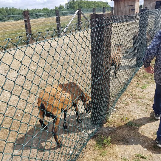 Agrogospodarstwo "Pod Skałką". Agroskałka